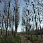 Guest house Casa Rural La Casona 3*